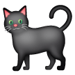 Samsung 🐈‍⬛ Black Cat