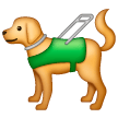 Samsung 🦮 Guide Dog