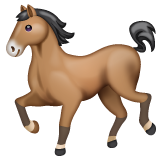 Whatsapp 🐎 A Horse