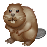 Whatsapp 🦫 Beaver