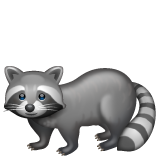 Whatsapp 🦝 Raccoon