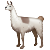 Whatsapp 🦙 An Llama