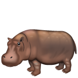 Whatsapp 🦛 Hippopotamus