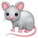 Whatsapp 🐁 A Mouse