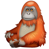 Whatsapp 🦧 Orangutan