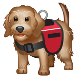 Whatsapp 🐕‍🦺 Service Dog