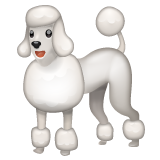 Whatsapp 🐩 A Poodle