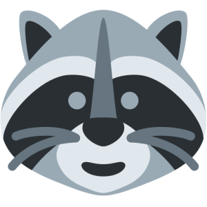 Twitter 🦝 Raccoon