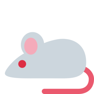 Twitter 🐁 A Mouse
