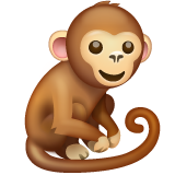 Whatsapp 🐒 Um macaco