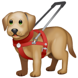 Whatsapp 🦮 Guide Dog