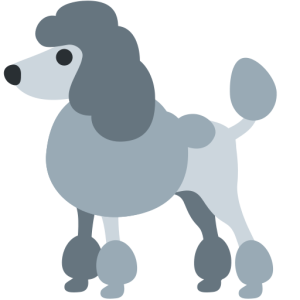 Twitter 🐩 A Poodle