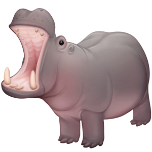Facebook 🦛 Hippopotamus