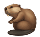 Facebook 🦫 Beaver
