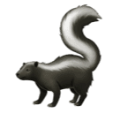 Facebook 🦨 Skunk