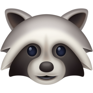 Facebook 🦝 Raccoon