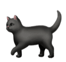 Facebook 🐈‍⬛ Black Cat