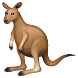 Facebook 🦘 Kangaroo